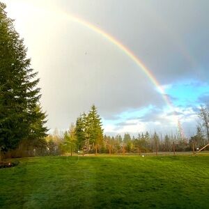 Live show listing​​